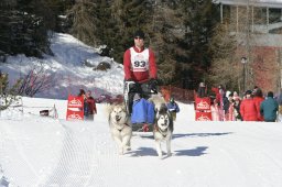 San Bernardino 2008